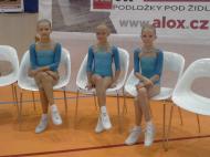 2015-10- MMČR Liberec