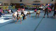 2016-03- Gymnastický workshop+závody Trnava