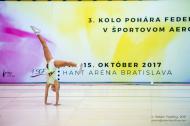 2017 - Sportovní aerobik
