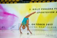 2017 - Sportovní aerobik