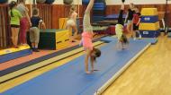 2017 - Gymnastický workshop
