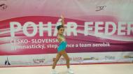 2017 - Sportovní aerobik